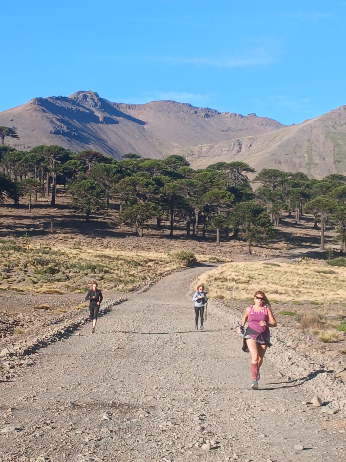 Circuito Running Team Cup